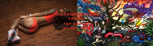 2c-b Строитель