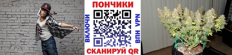 Каннабис семена  Купить закладки  Волгоград 